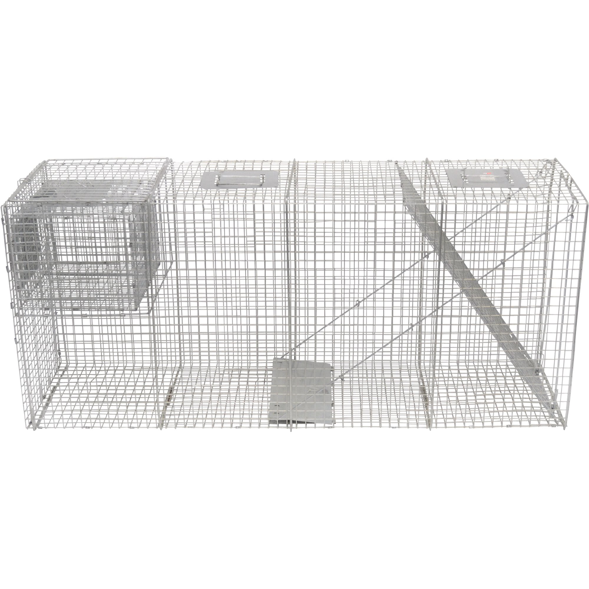 Advantek Catch & Release Coyote Trap — Model# 20060B